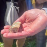 Американські інвестори та суди за літій на Кіровоградщині